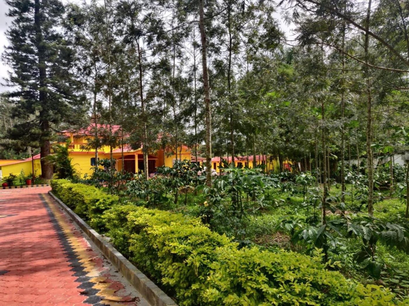 Coffeebean Villa - Unwind & Rejuvenate Sakleshpur Zewnętrze zdjęcie