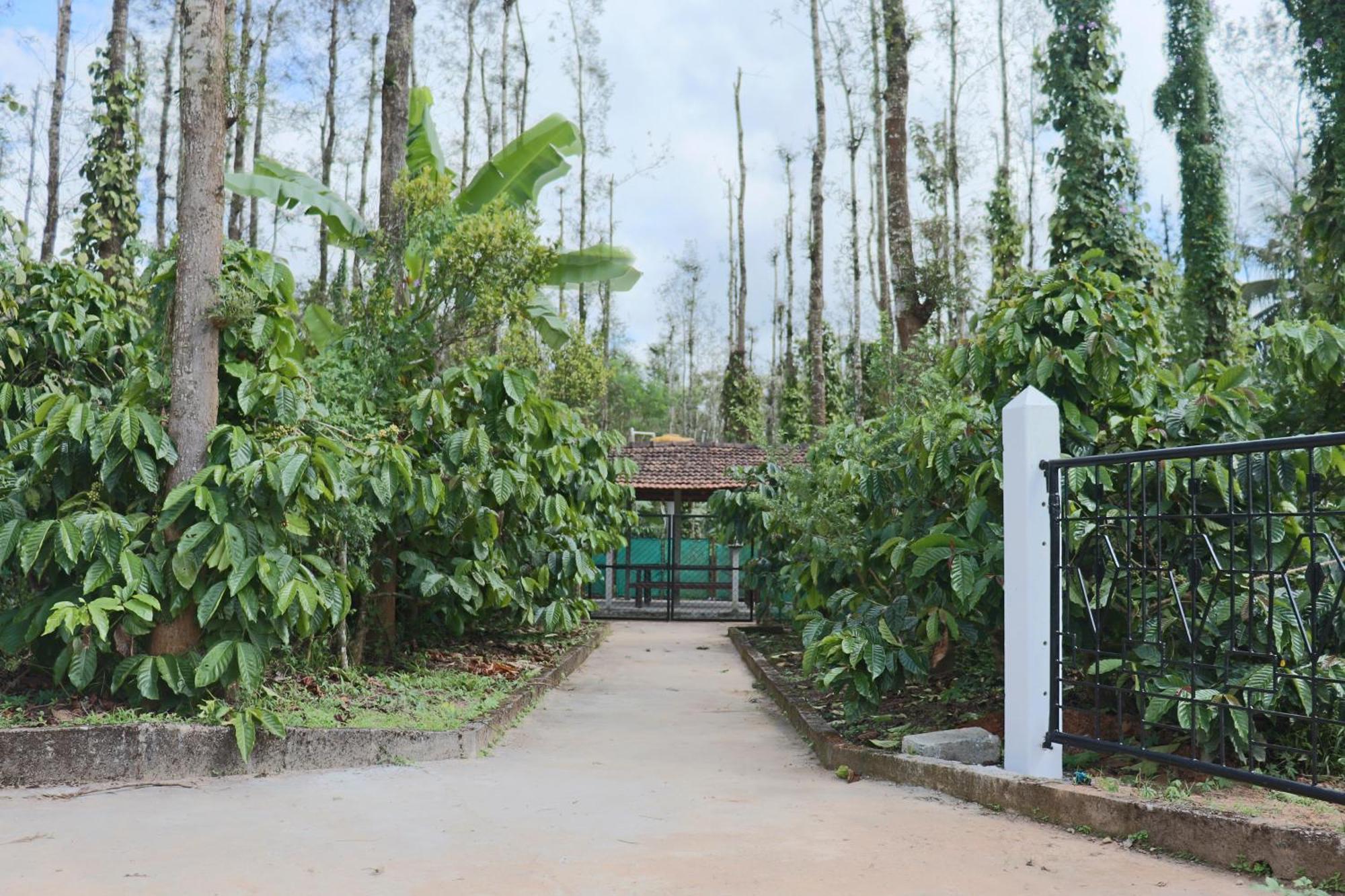 Coffeebean Villa - Unwind & Rejuvenate Sakleshpur Zewnętrze zdjęcie